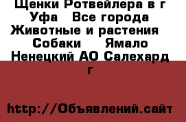 Щенки Ротвейлера в г.Уфа - Все города Животные и растения » Собаки   . Ямало-Ненецкий АО,Салехард г.